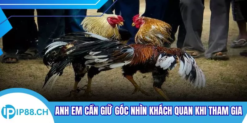 Anh em cần giữ góc nhìn khách quan khi tham gia