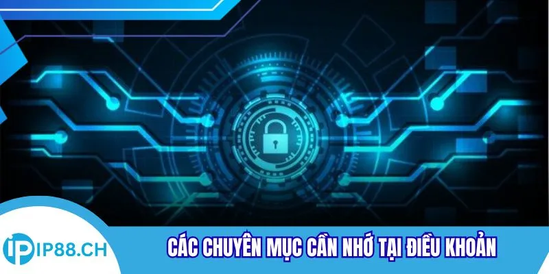 Các chuyên mục cần nhớ tại điều khoản