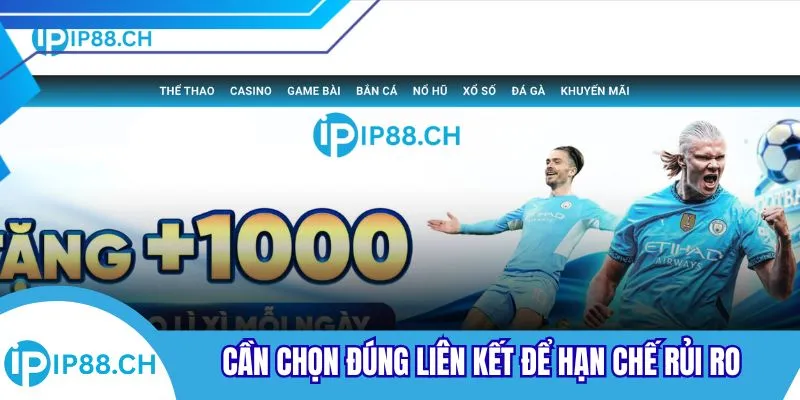 Cần chọn đúng liên kết để hạn chế rủi ro