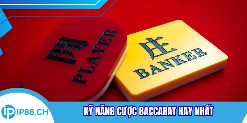 Kỹ năng cược Baccarat hay nhất