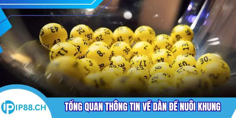Tổng quan thông tin về dàn đề nuôi khung